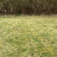 img-0506.jpg