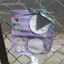 notice-to-dog-owners-img-3525-low-res.jpg