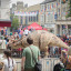 dino-day-2022-ginny-koppenhol-photography-low-res-watermarked-115.jpg