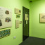 sheradon-dublin-photography-crab-museum-margate-127.jpg