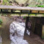 rotting-4-metre-bridge.jpg