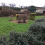 pocket-park.jpg