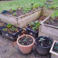 img-20210120-124051.jpg