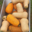 20191008-102032.jpg
