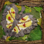 amy-natures-treasures-small.jpg