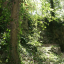 img-7617.jpg