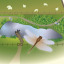 j-838-dragon-board-image.jpg