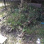 20140804-144444.jpg