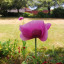 pic-2.jpeg