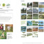the-nectar-room-pelsall-village-school-1-4-page-07.jpg