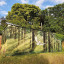 woodland-1.jpg