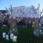 15-8-nov-white-ribbon-img-4515.jpg