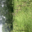 img-7468.jpg