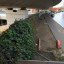 img-0541.jpg