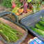 20240723-summer-produce.jpg