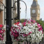 img_20130522175326_1.jpg