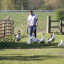 dscf-3460.jpg