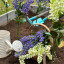thumbnail-img-5752-jpg.jpg