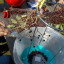 dscn-3474.jpg