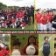 little-league-game-days-hemel-w-text.jpg