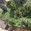 img-20200824-143745.jpg