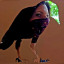 local-vr-artist-jacki-clark.jpeg