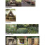 forest-school-reference-new-studio-pre-school-dragged.jpg