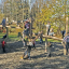 timberplay-image-2.png