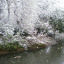 217502-409043212513192-429921397-n.jpg
