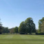 beddington-2020.jpg