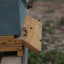 img-9238.jpg