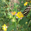 20160512-144242.jpg