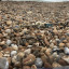 plastic-fishing-pic.jpeg