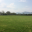 img-0859-1.jpg