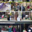 untitled-design-34.png