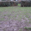 img-3797-lr.jpg