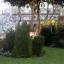 img-2012-03-26-0363.jpg