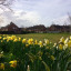 img-5128.jpg