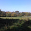 orchard-area-3.jpg