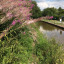thumbnail-img-0752.jpg