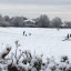 img-1747.jpg