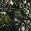 ealing-sky.jpg