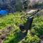 img-20200405-112358811-hdr.jpg