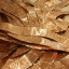 img-9209.jpg