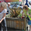 flowering-edgware-3.png