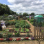 ian-knee-charlotte-waitt-plot-9-burpham.jpeg
