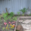 dsc-0933.jpg