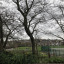 img-0025.jpeg