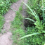 img-6605.jpg