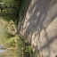 img-3177.jpeg